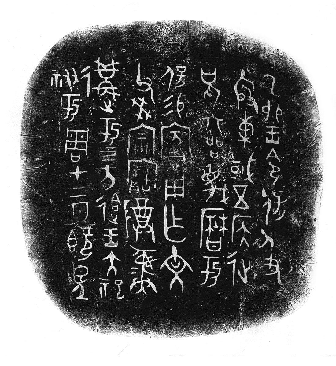 藏品详情